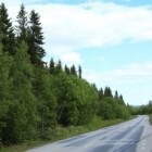 Vildmarksvägen: een wildernisroute in Zweden