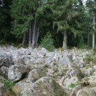 Vogezen: geheimzinnige stenen in Barbey-Seroux