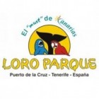 Loro Parque op Tenerife: Orca Ocean, Planet Penguin & meer!