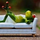 Couchsurfing: gratis overnachten in meer dan 200 landen
