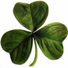 Saint Patrick's Day of Paddy's Day in Ierland en elders