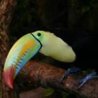 La Paz Watervallen – Costa Rica