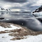 Antarctica, Neko Harbour is pas echt Antarctica (deel 9.)