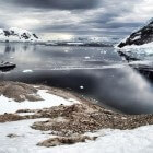 Antarctica, Neko Harbour is pas echt Antarctica