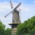 Schiedam: Een geschiedenis van Jeneverneuzen en Molens