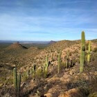 Tucson (Arizona): tien mooie plekjes die je niet mag missen