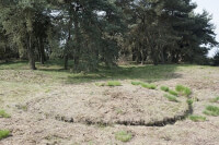 Prehistorische grafheuvel / Bron: Technau, Serg, Wikimedia Commons (CC BY-SA-4.0)