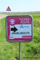 Tulpenroute Noordoostpolder / Bron: ottergraafjes