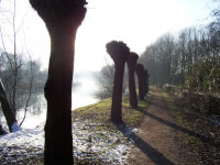 Het jaagpad langs de Kromme Rijn op een winterse dag / Bron: Jaappad Amelisweerd - Eigen werk