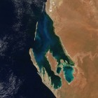 Werelderfgoed van Australië - Shark Bay Marine Park