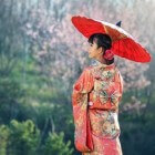 Japan, meer dan geisha's en vechtsporten