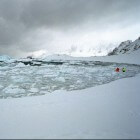 Antarctica, spanning op Cuverville Island