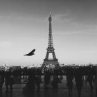 Opgelicht in Parijs: de schaduwzijde van de verlichte stad