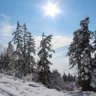 Sneeuwzeker wintersporten in Obertauern - Oostenrijk