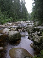 Er zijn veel stroopjes en riviertjes in Sumava / Bron: I.Sáek, senior, Wikimedia Commons (Publiek domein)