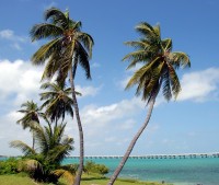 Florida Keys / Bron: Paulbr75, Pixabay