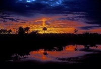 Zonsopgang in de Everglades / Bron: Skeeze, Pixabay