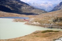 Ospizio Bernina. Bernina Express rijdt langs Lej Nair en Lago Bianco / Bron: ©sodraf