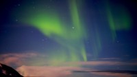 Noorderlicht Tromsø / Bron: Sharonang, Pixabay