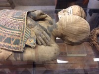 Mummie van Nenu / Bron: Jeanet de Jong