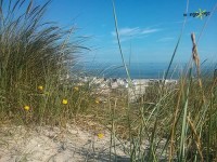 Strandkorven op het strand / Bron: Wangerooge.de