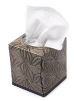 Altijd handig, tissues in een dispenser. / Bron: Evan-Amos, Wikimedia Commons (Publiek domein)