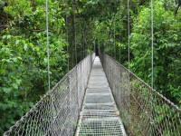 hangbruggen door jungle