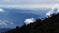 Mount Kinabalu / Bron: TarasK, Pixabay