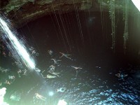 zwemmen in een cenote / Bron: Qyd, Wikimedia Commons (CC BY-SA-3.0)
